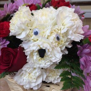 Meet your Posher, Ai